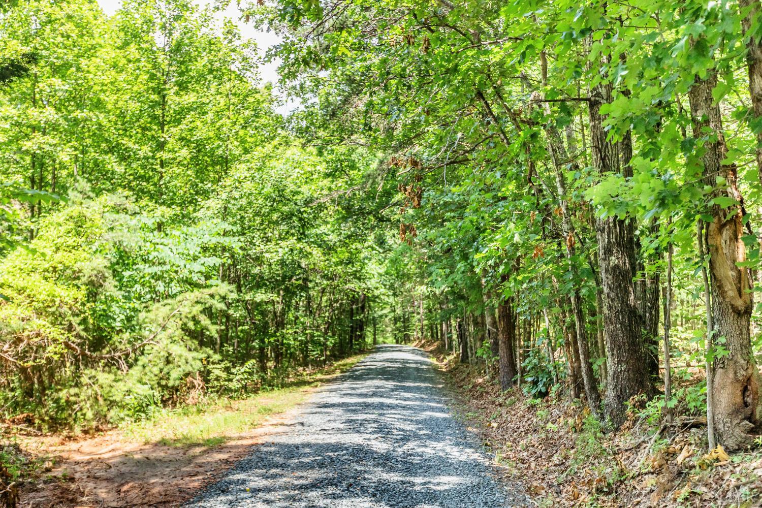 1370 Moonlight Road Appomattox, VA 24522 - Photo 80 of 99