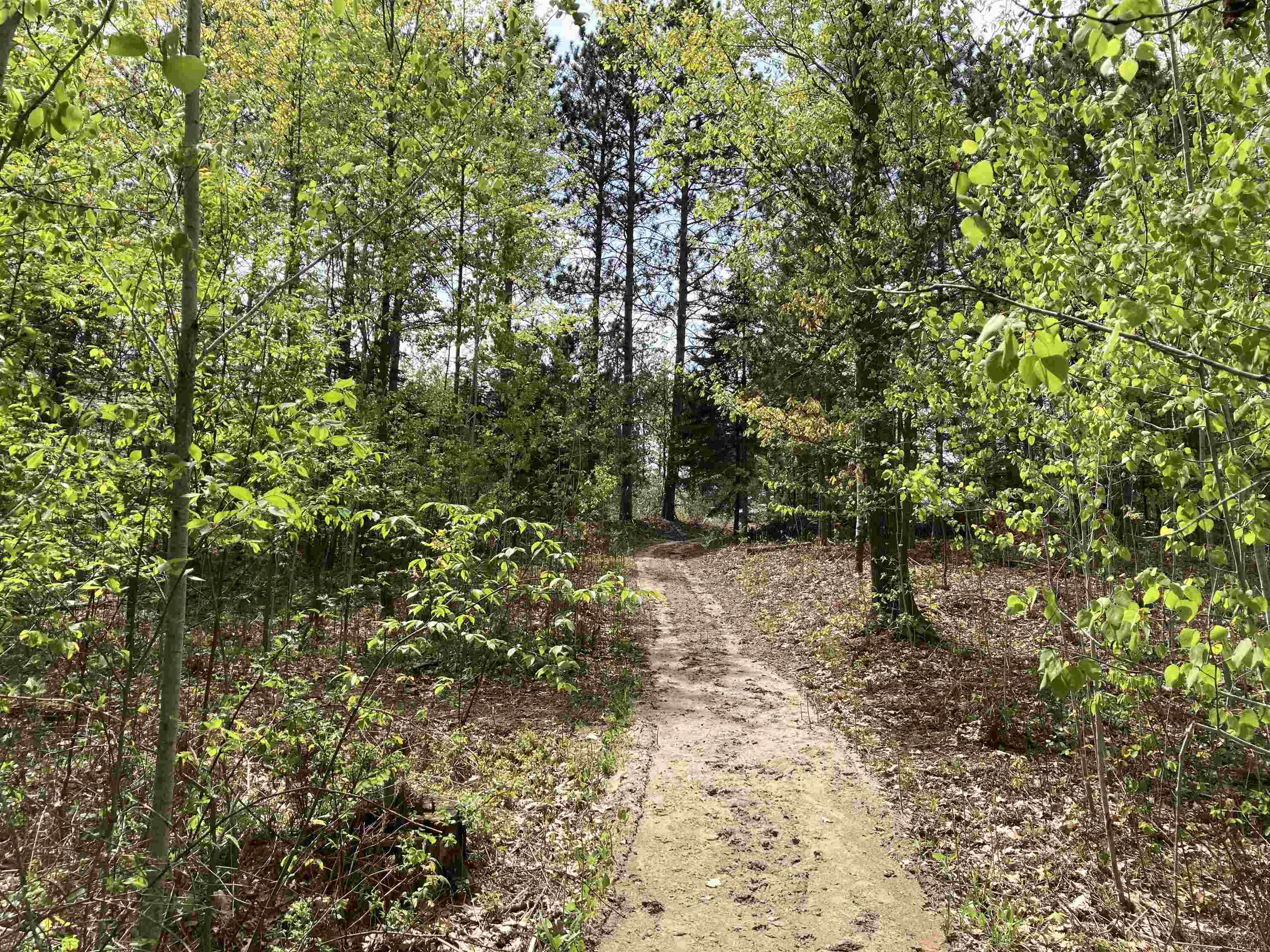763 Sensabaugh Road Lupton, MI 48635 - Photo 17 of 86 1900015-16.JPG