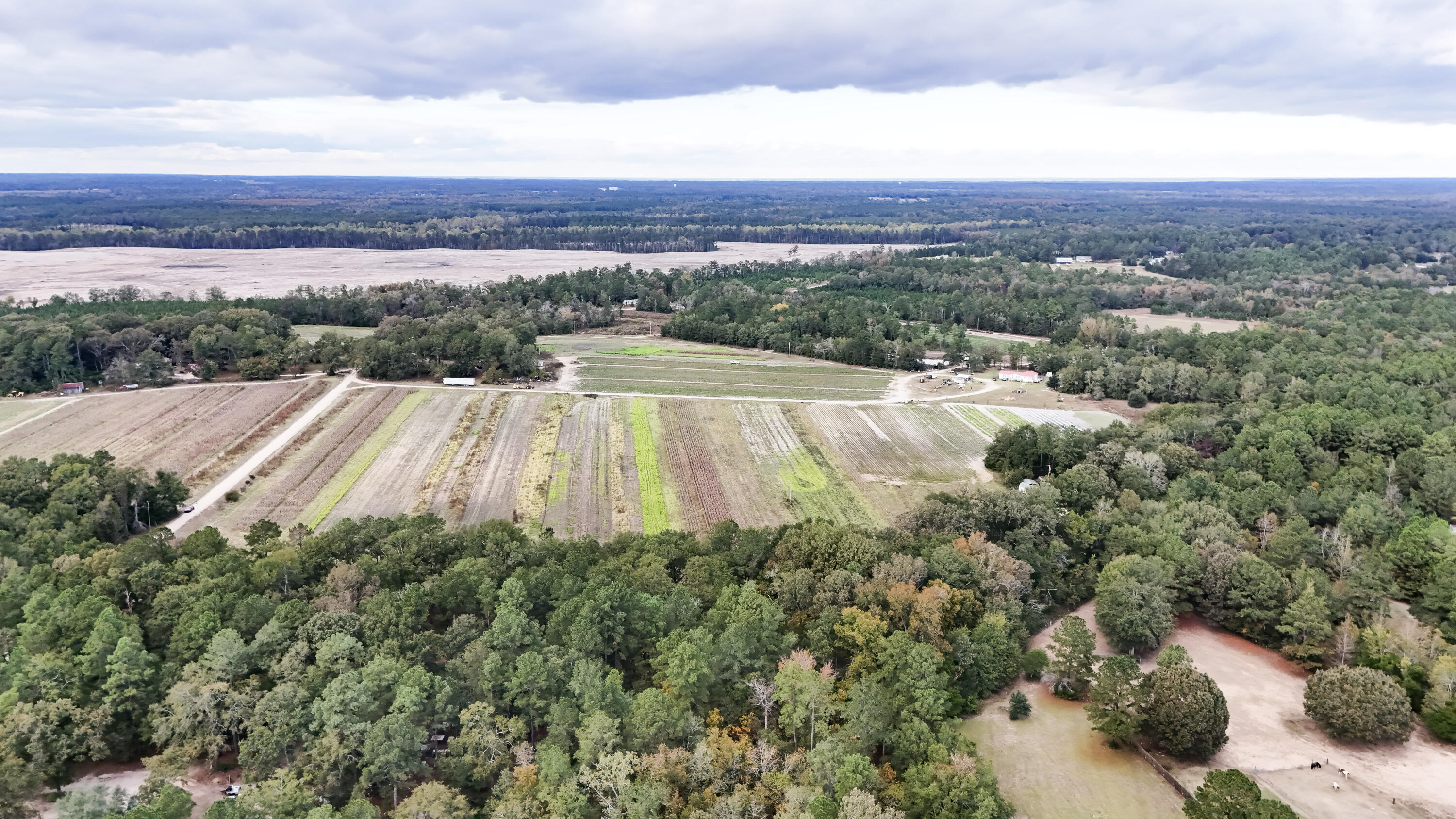 0 Chavis Road Blackville, SC 29817 - Photo 10 of 22 29-DJI_20251031045513_0243_D