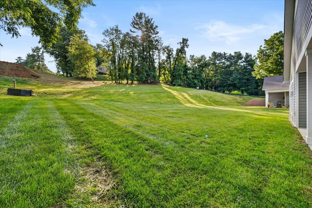 343 Whites Mill Road Abingdon, VA 24210 - Photo 44 of 47 Gallery Image 44