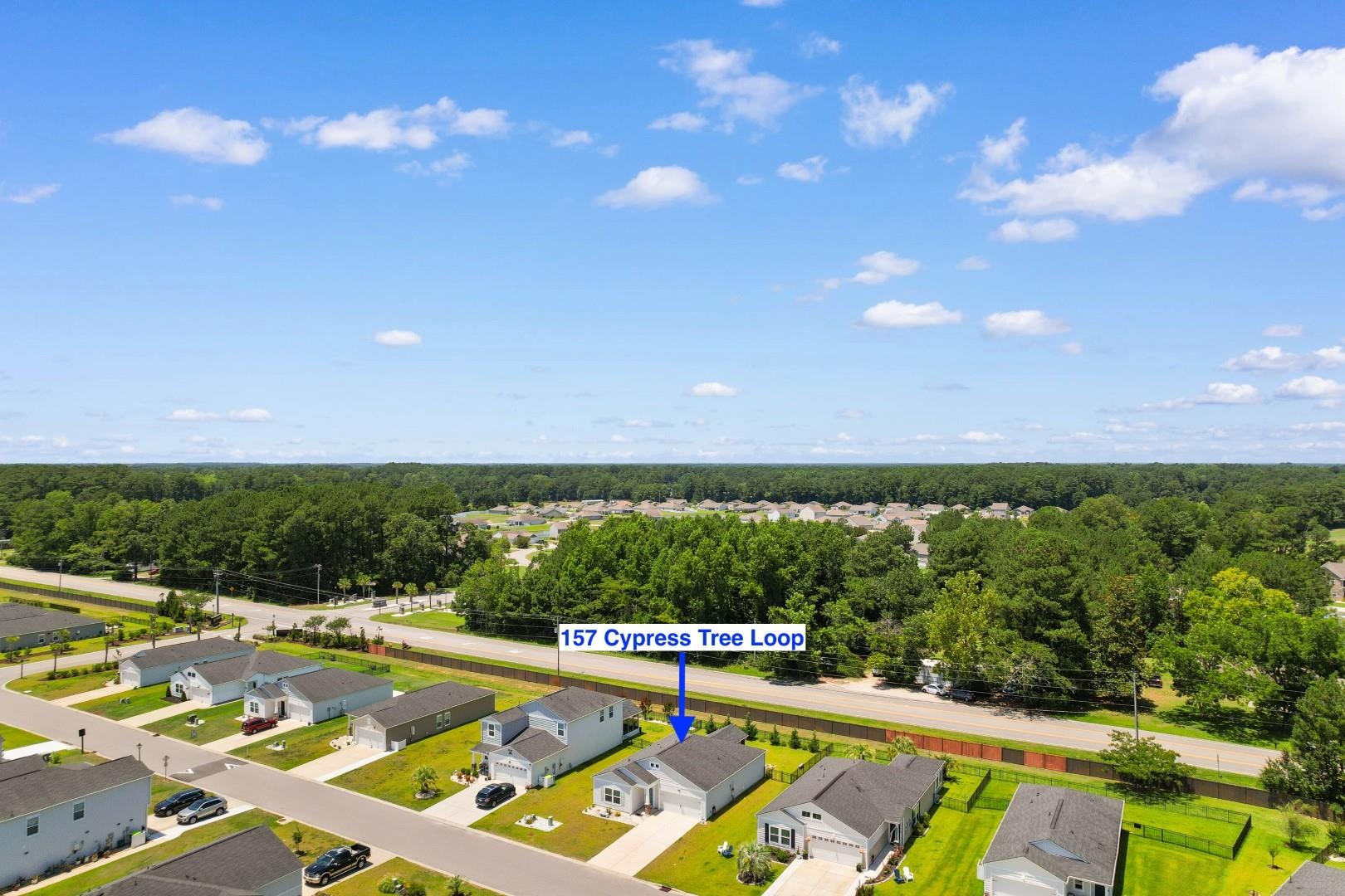 157 Cypress Tree Loop Longs, SC 29568 - Photo 43 of 48