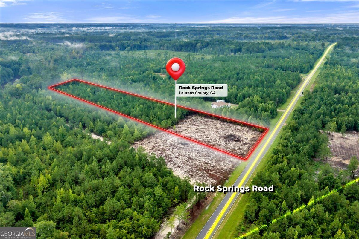 Lot A Rock Springs Road Dublin, GA 31021 - Photo 12 of 12 Gallery Image 12