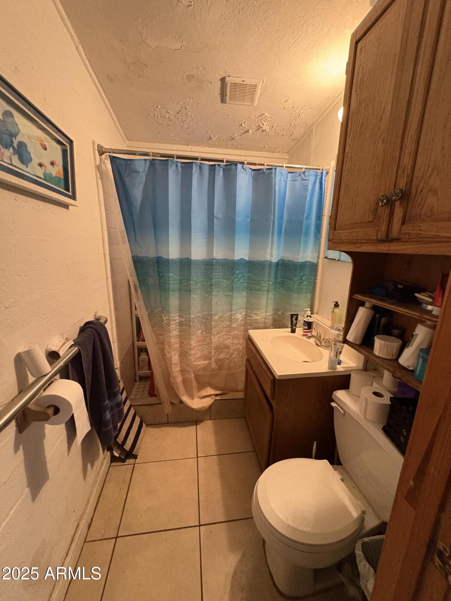 1548 West Roeser Road Phoenix, AZ 85041 - Photo 11 of 18 Bath.