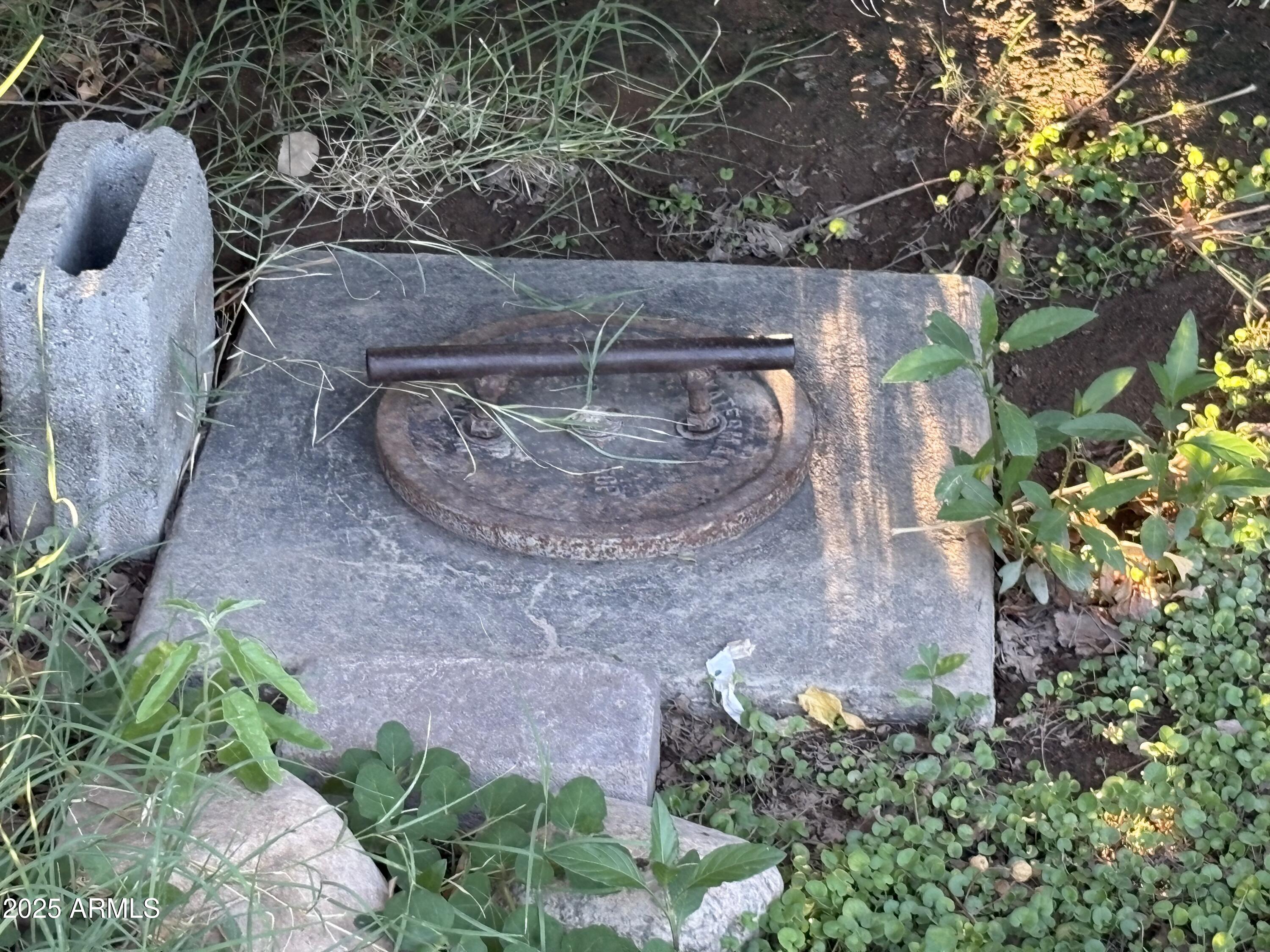 1548 West Roeser Road Phoenix, AZ 85041 - Photo 4 of 18 Roeser_irrigation valve_