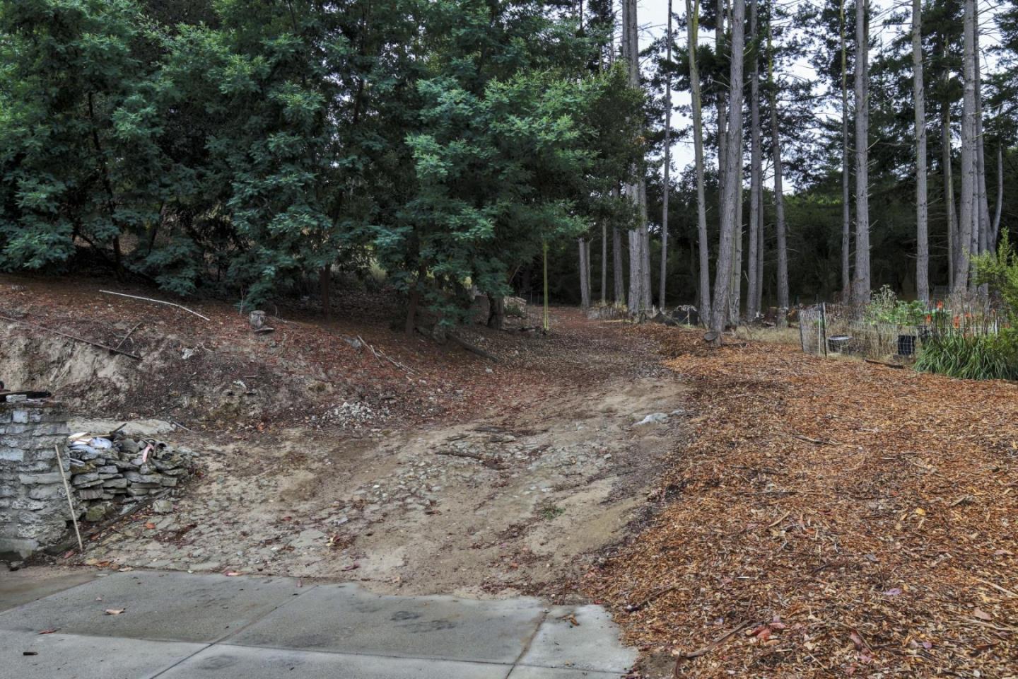 746 Echo Valley Road Salinas, CA 93907 - Photo 38 of 54 a view of a yard with plants and trees