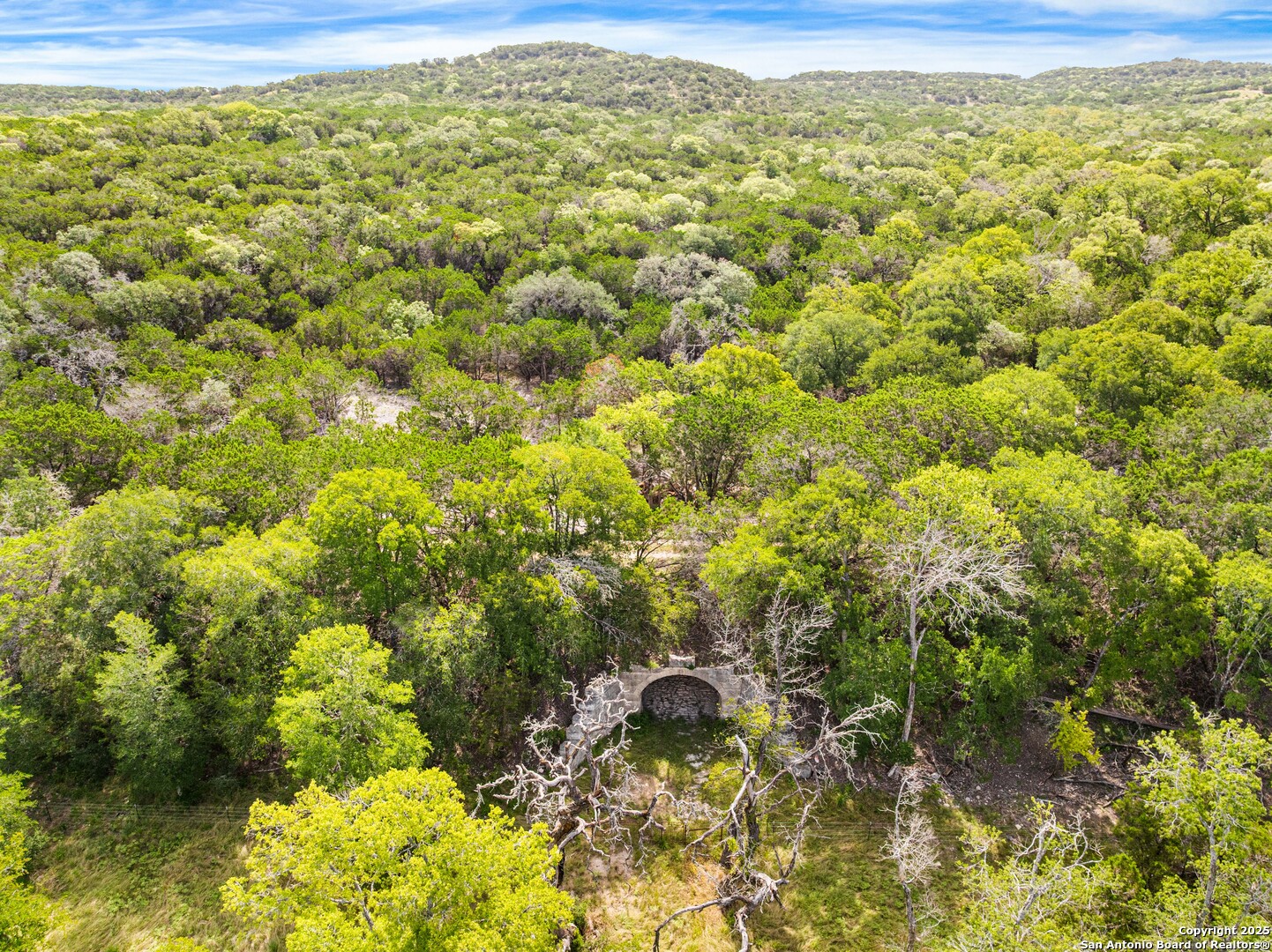 311 Spanish Pass Road Boerne, TX 78006 - Photo 4 of 8 a view of a large yard with lots of trees