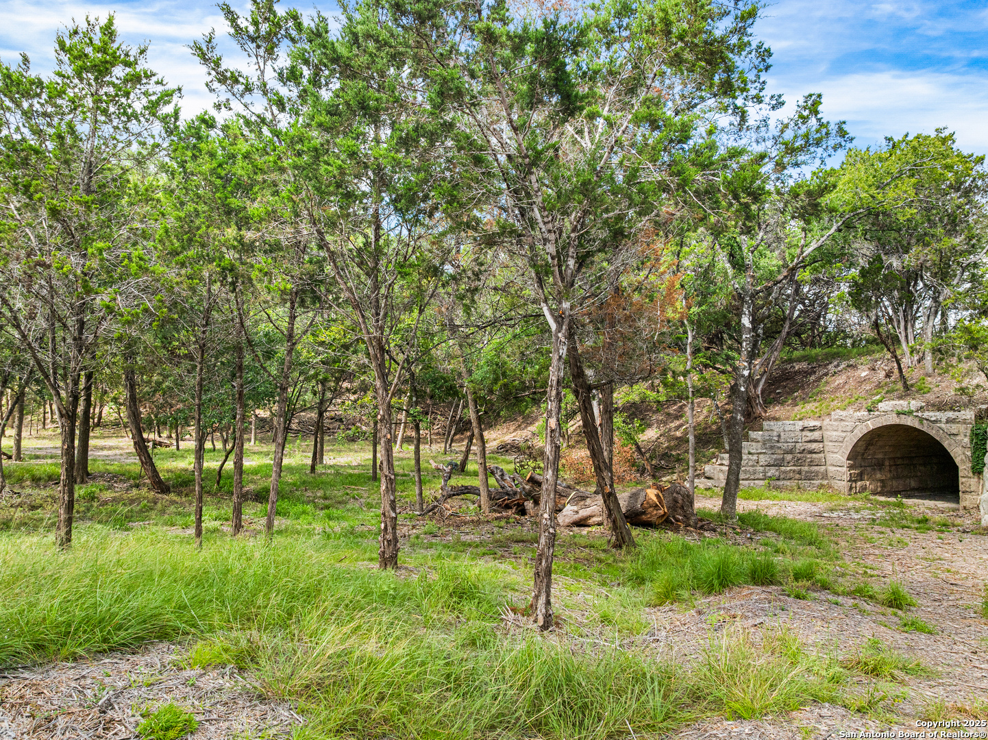 311 Spanish Pass Road Boerne, TX 78006 - Photo 8 of 8 a view of yard with tree s
