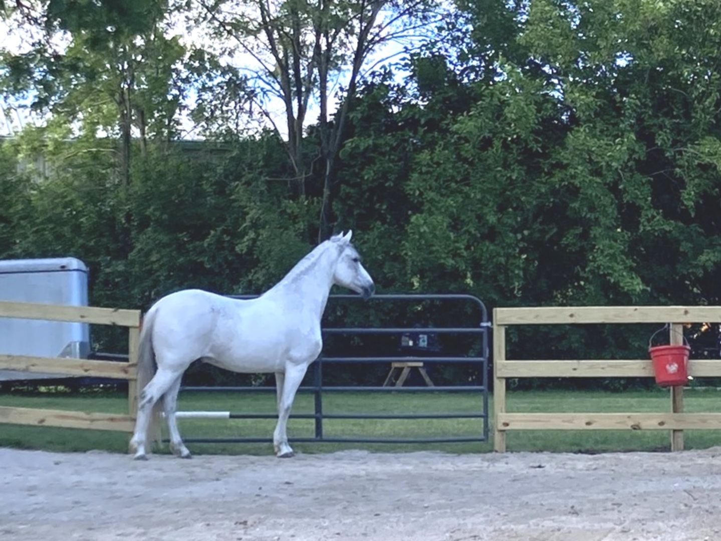 4N260 Klein Road West Chicago, IL 60185 - Photo 18 of 150