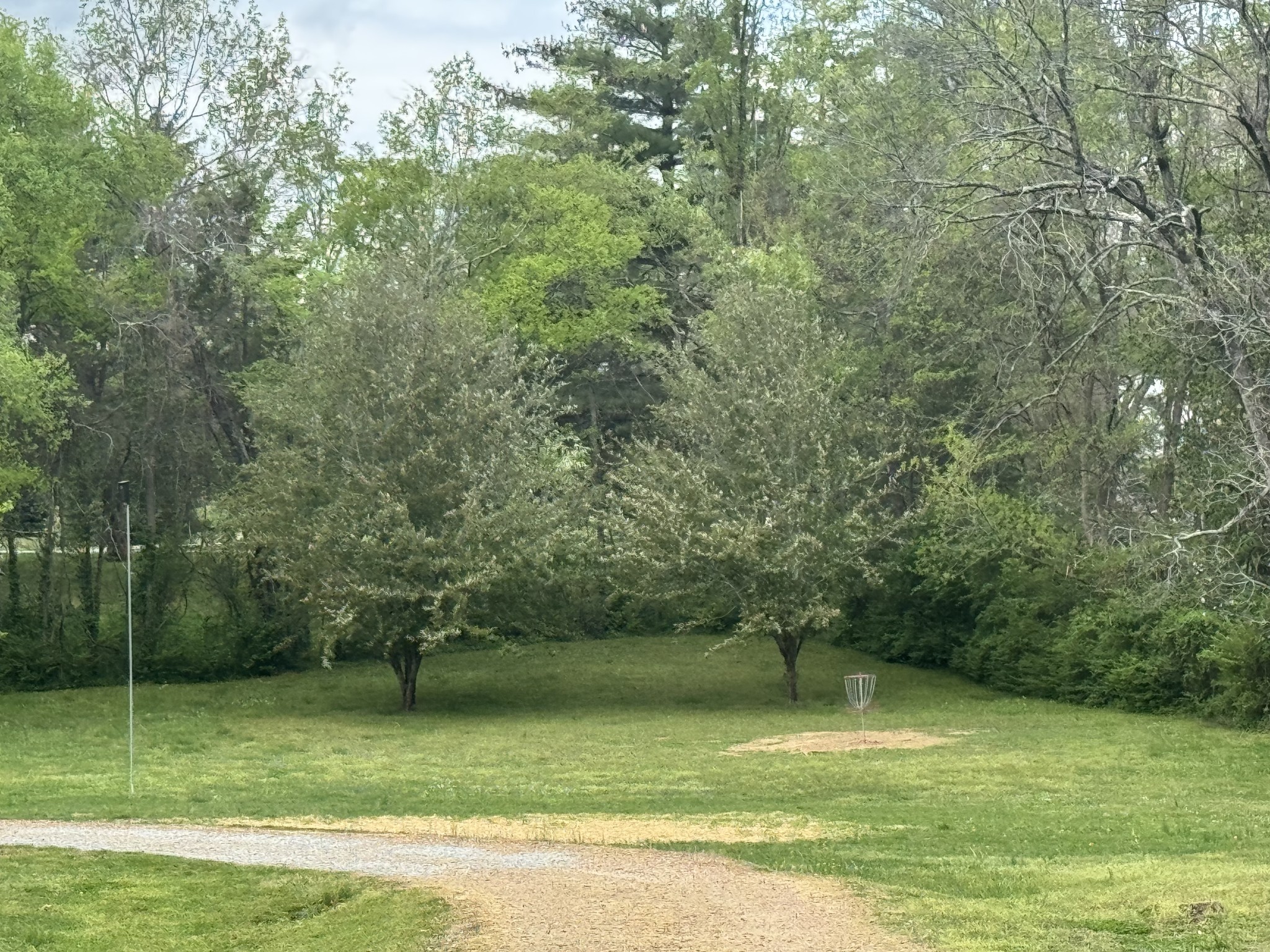 4250 Pate Road Franklin, TN 37064 - Photo 3 of 6