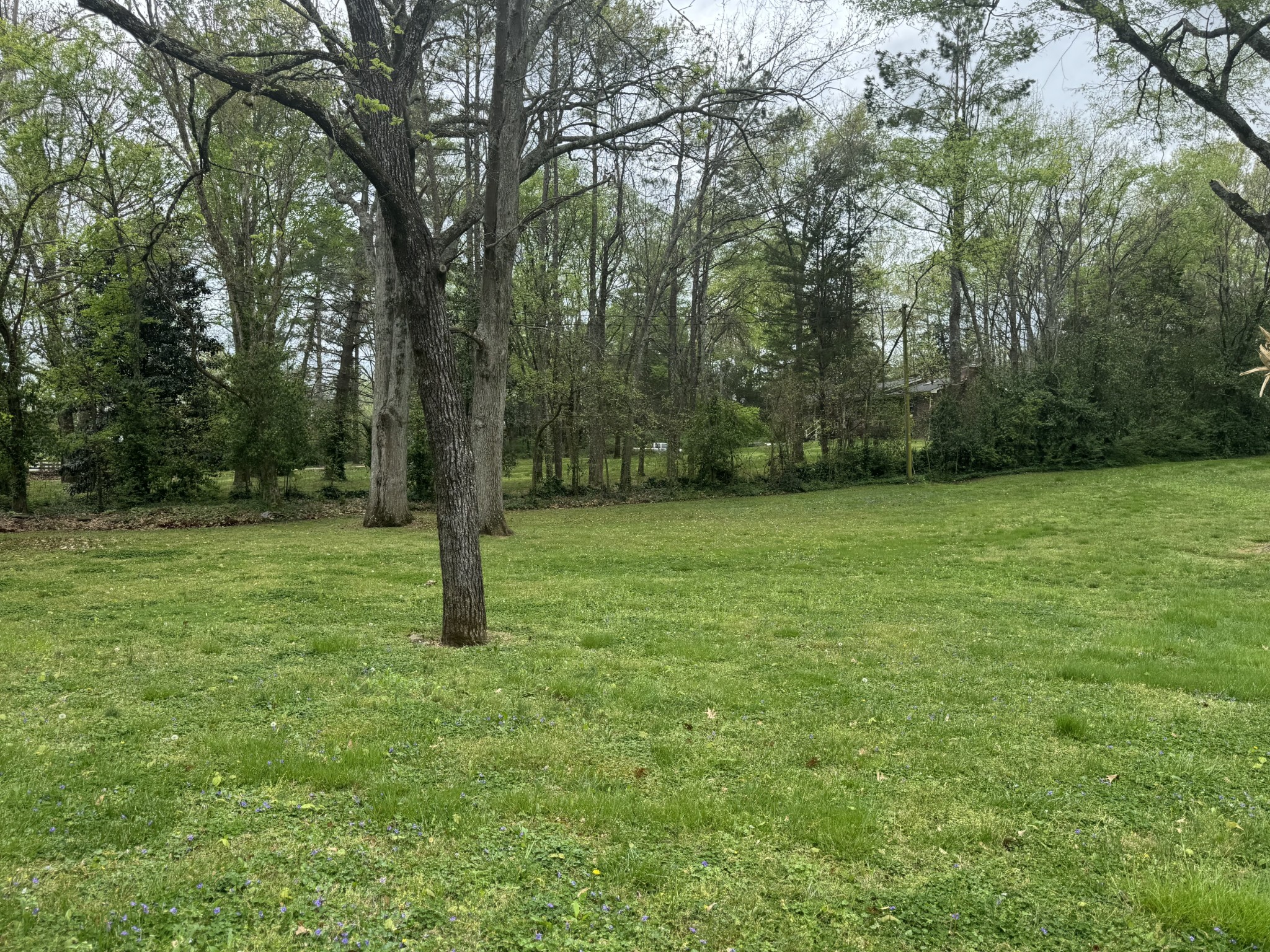 4250 Pate Road Franklin, TN 37064 - Photo 4 of 6