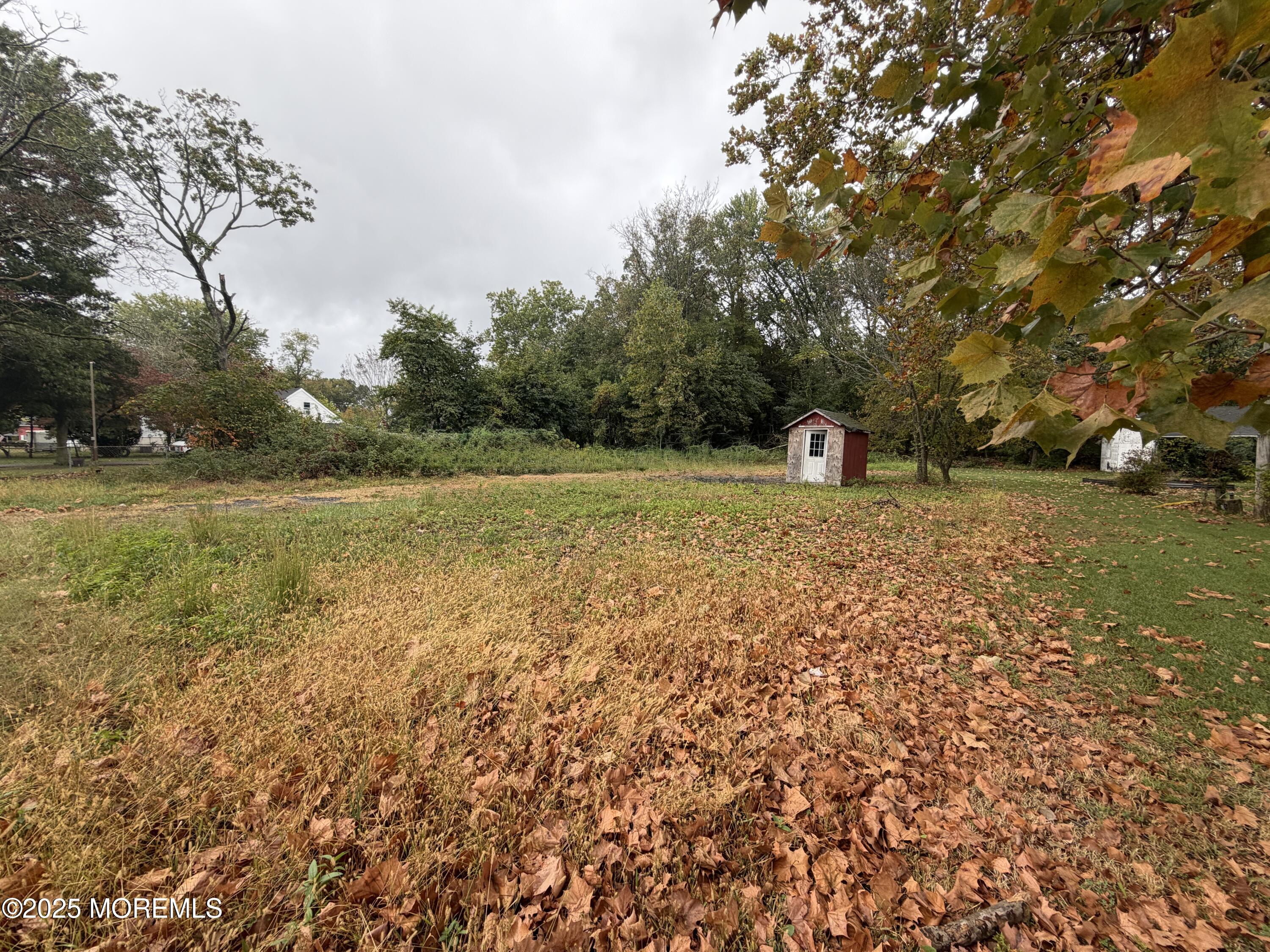 a view of a field with an trees