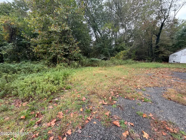 a view of a yard with a tree