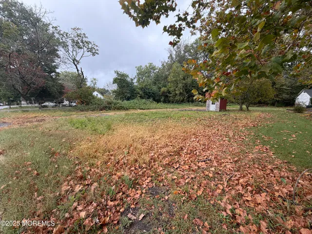 a view of a field with trees