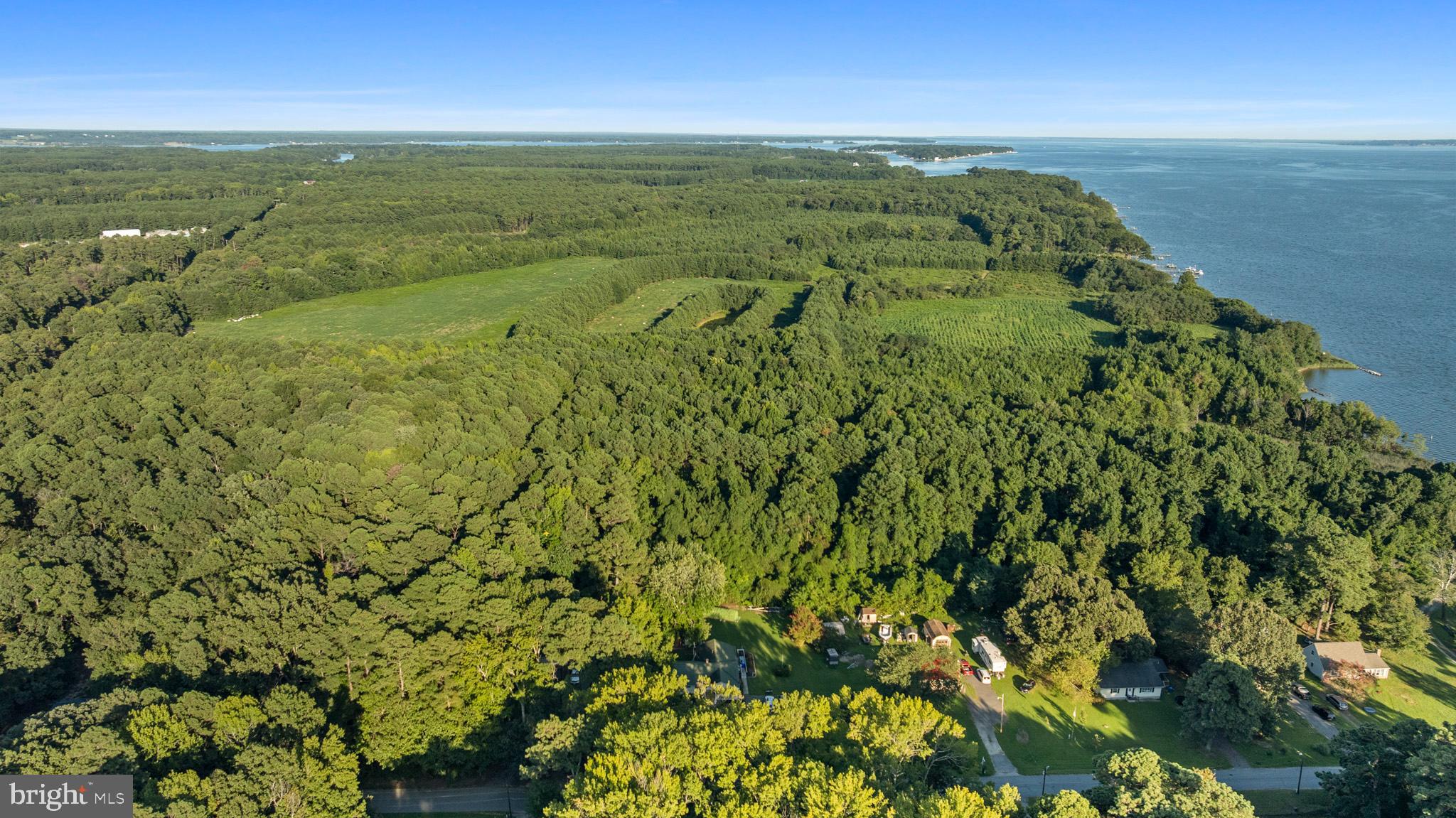 15420 Matthews Manor Road Newburg, MD 20664 - Photo 48 of 65 a serene escape in Newburg, MD