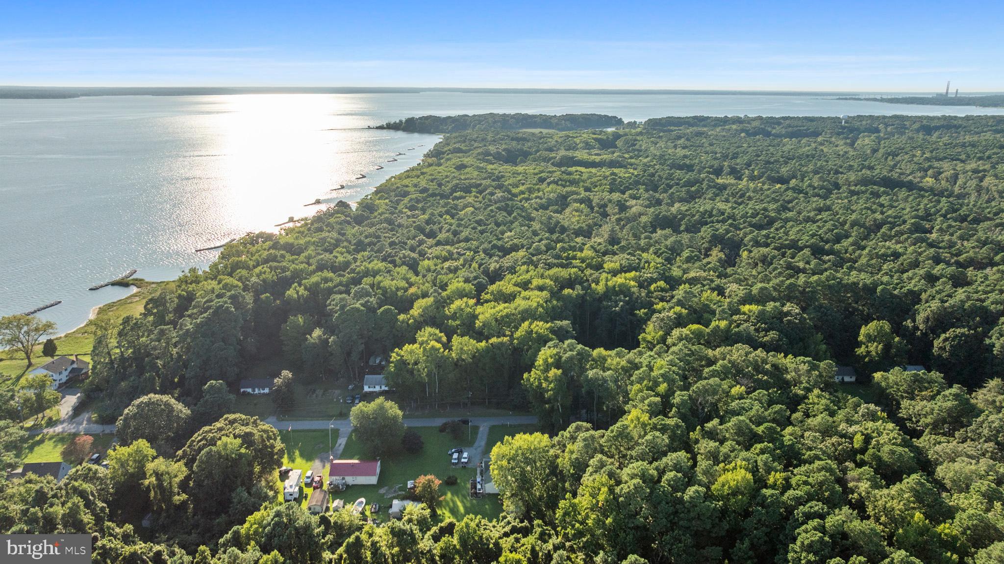 15420 Matthews Manor Road Newburg, MD 20664 - Photo 8 of 65 surrounded by beauty, you can't beat this view