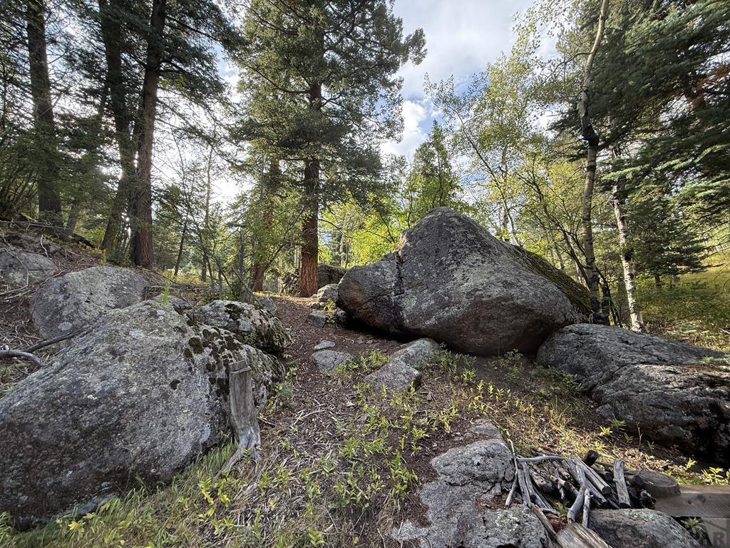 181 Lion Gulch Road Rye, CO 81069 - Photo 20 of 21
