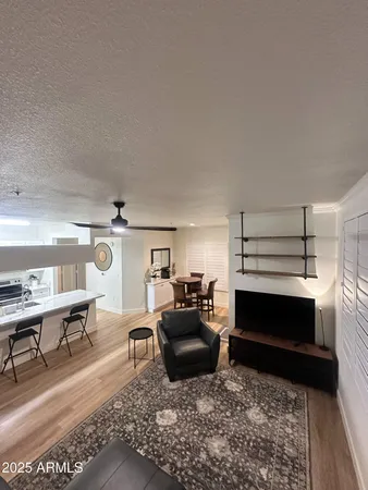 a living room with furniture a rug and a fireplace