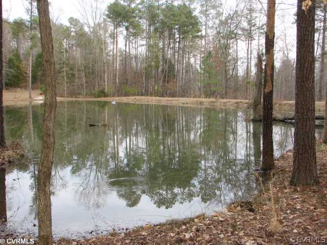 150 Petersburg Road Powhatan, VA 23139 - Photo 3 of 4 Waterfront/Dock/Pier