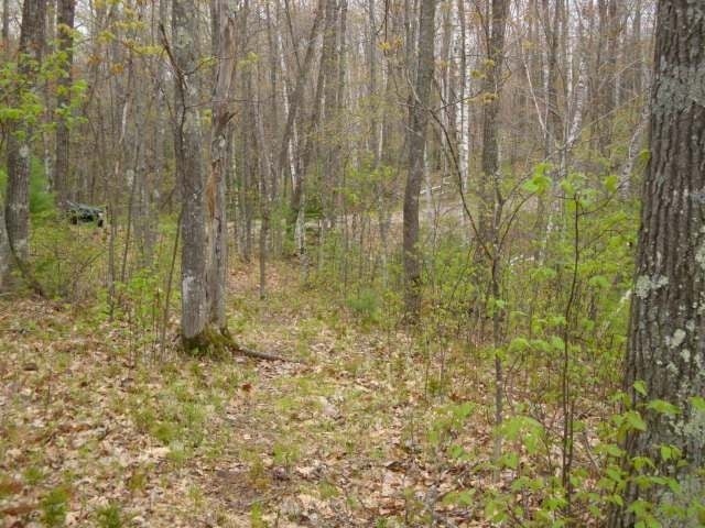 Lot 9 Lumen Lake Rd Lake Hazelhurst, WI 54531 - Photo 4 of 7 Gallery Image 4