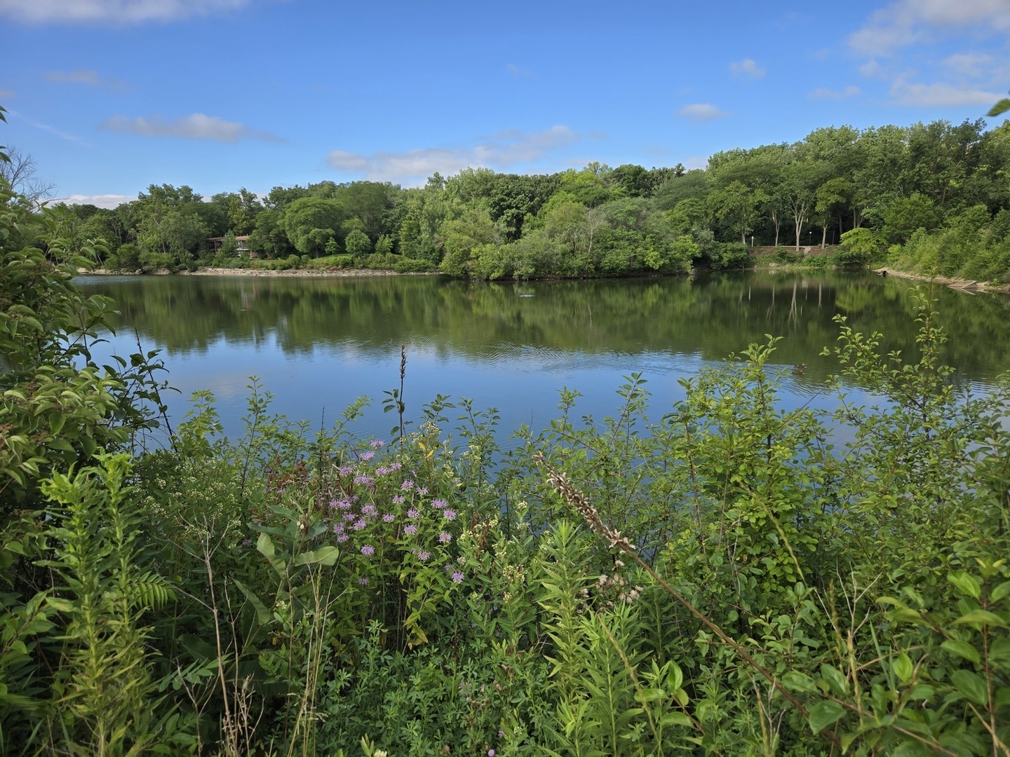 5900 Forest View Road, Unit 2A Lisle, IL 60532 - Photo 20 of 24 a view of a water with a lake view