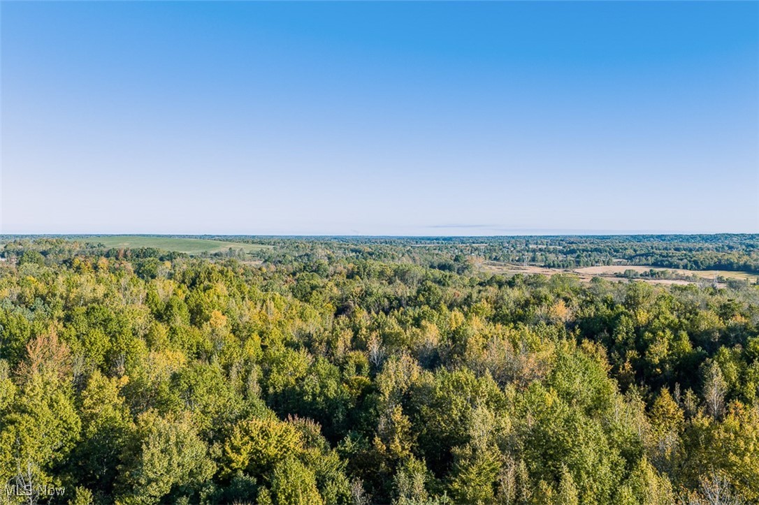Youngstown Salem Road Salem, OH 44460 - Photo 15 of 18 Aerial view of a forest