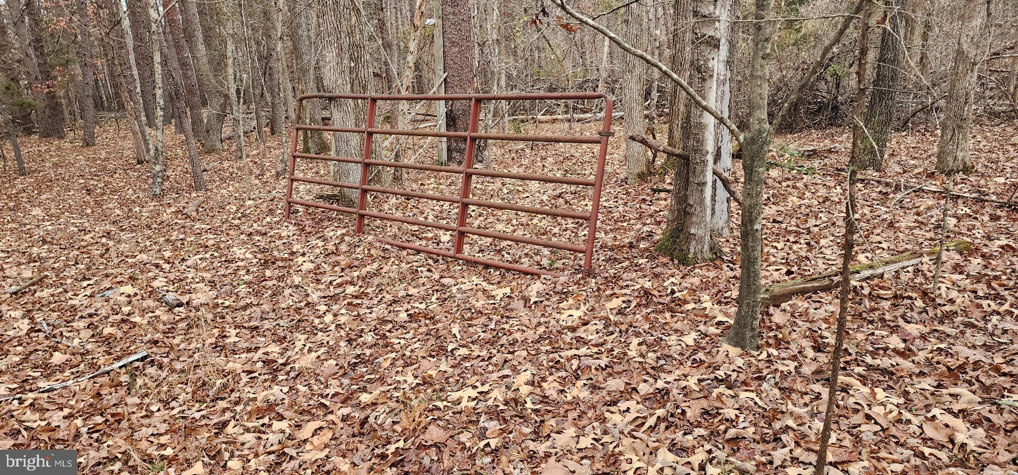 1064 Hunters Lodge Road Palmyra, VA 22963 - Photo 21 of 27 a view of outdoor space with wooden fence