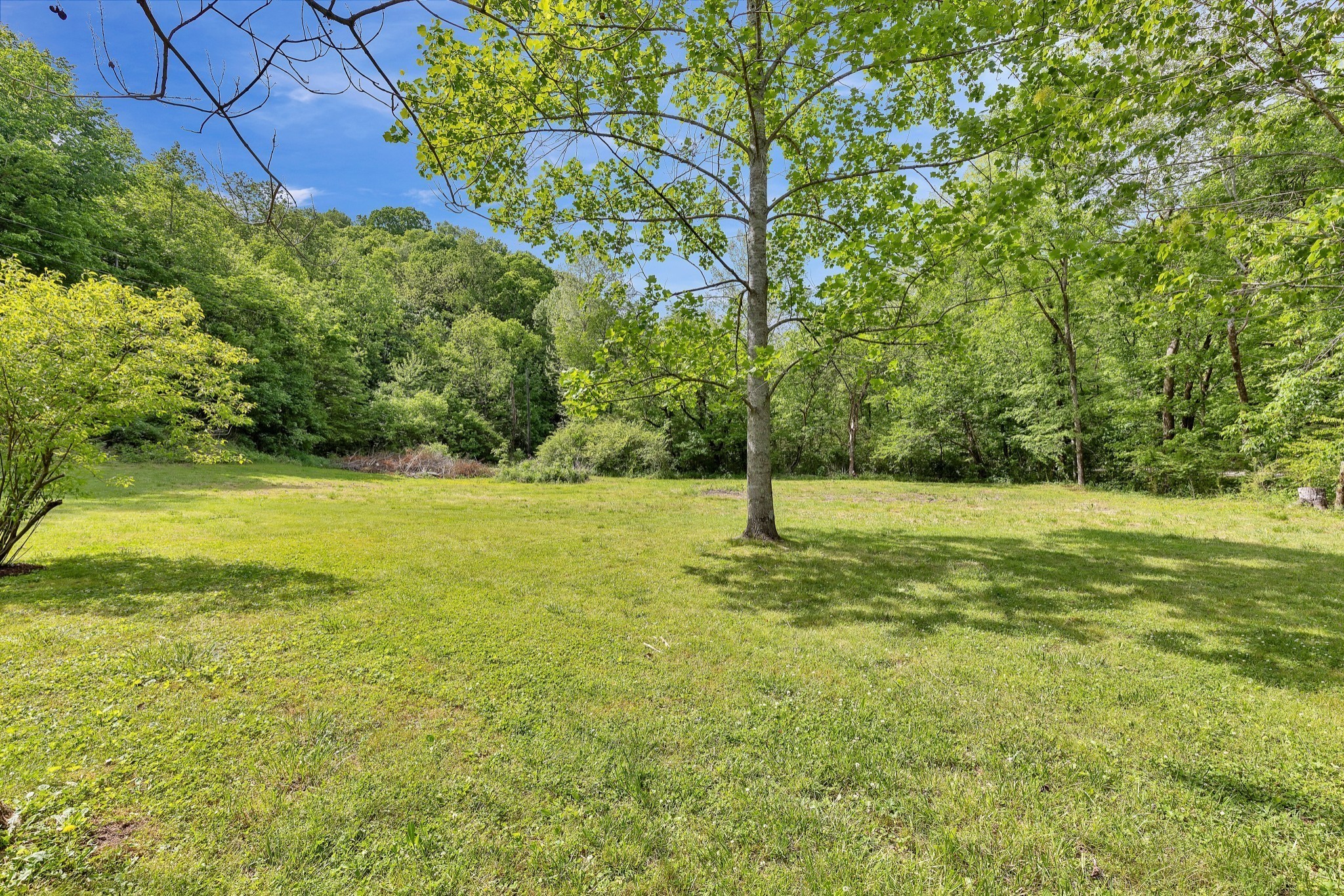 3743 Sulphur Springs Branch Road Columbia, TN 38401 - Photo 7 of 32 Gallery Image 7
