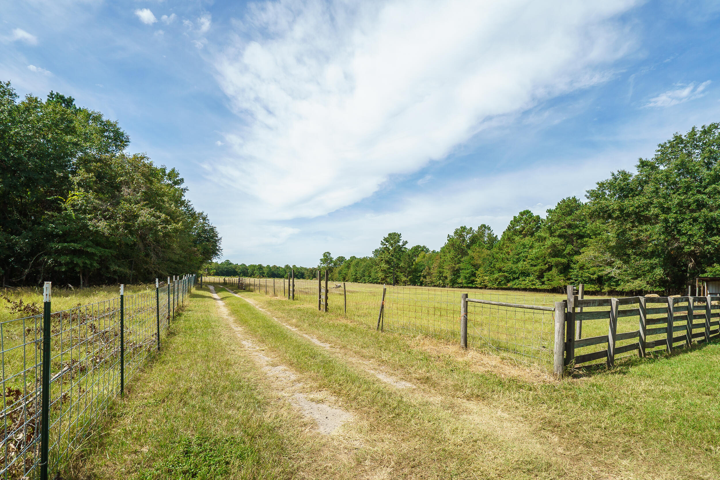 108 Webbs Pond Road Williston, SC 29853 - Photo 14 of 30