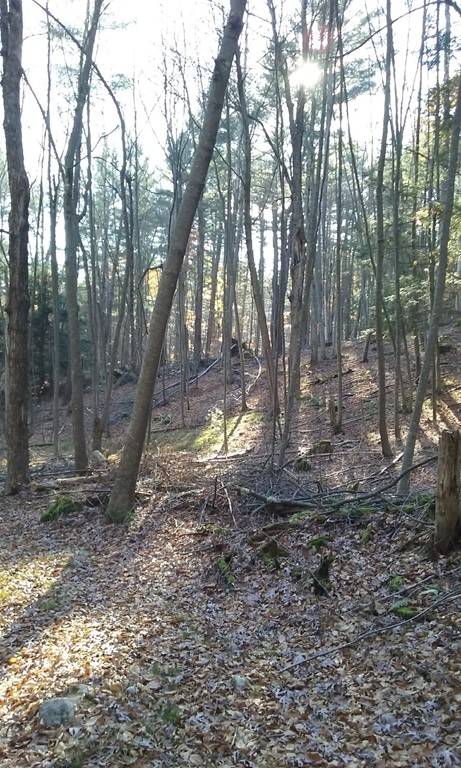 Lot 3 Cave Hill Road Leverett, MA 01054 - Photo 4 of 10