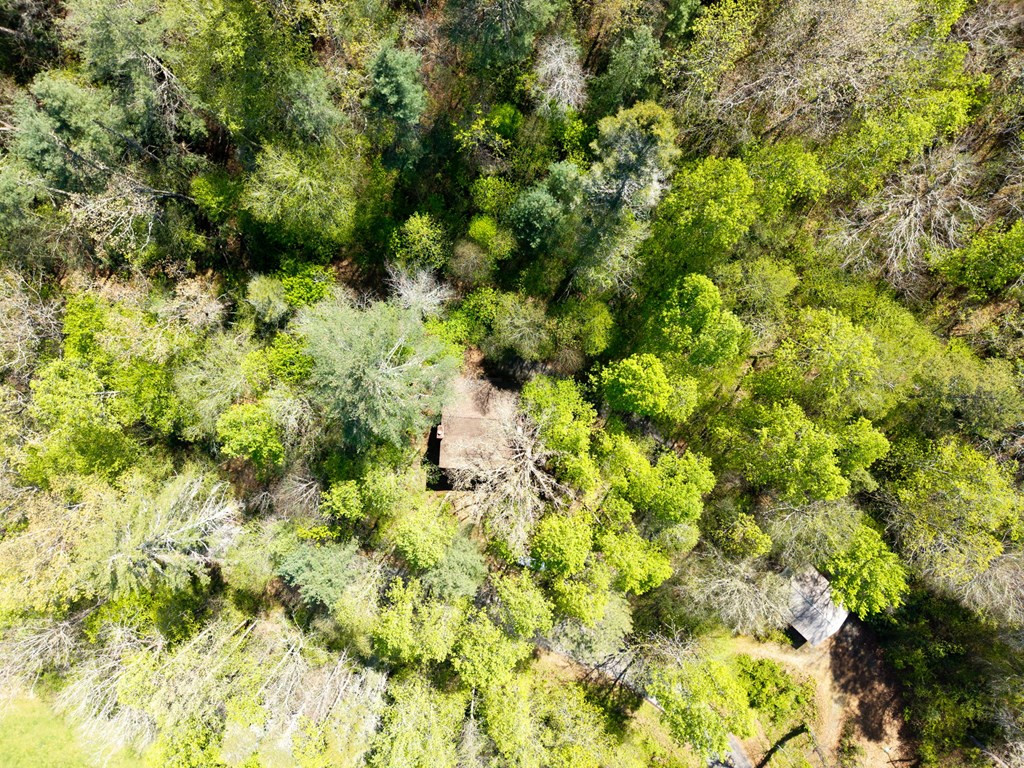 377 Ed Graves Road Murphy, NC 28906 - Photo 8 of 37