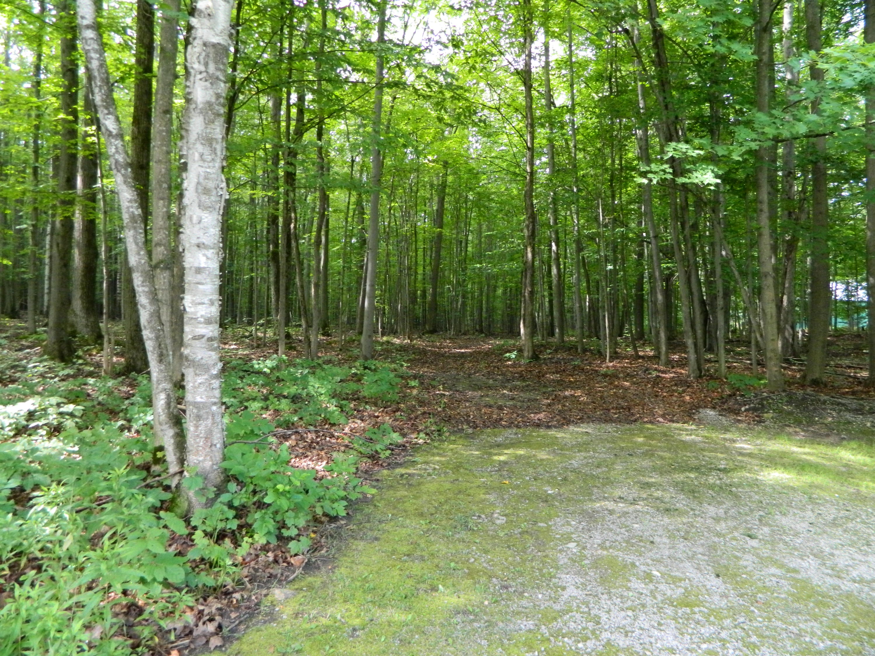 13060 Bartz Road Hubbard Lake, MI 49747 - Photo 22 of 31 Gallery Image 22