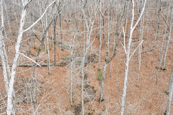 $150,000 | 229 Paradise, Crawford, TN 38554