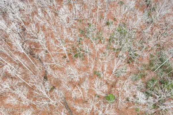 $150,000 | 229 Paradise, Crawford, TN 38554