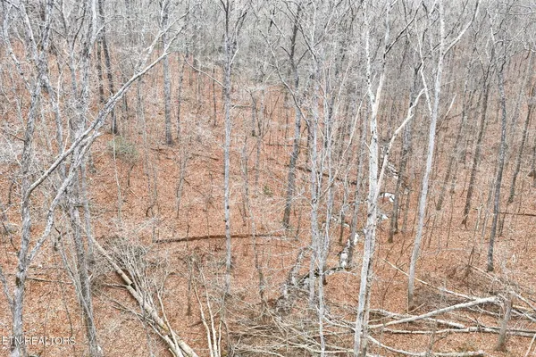 $150,000 | 229 Paradise, Crawford, TN 38554