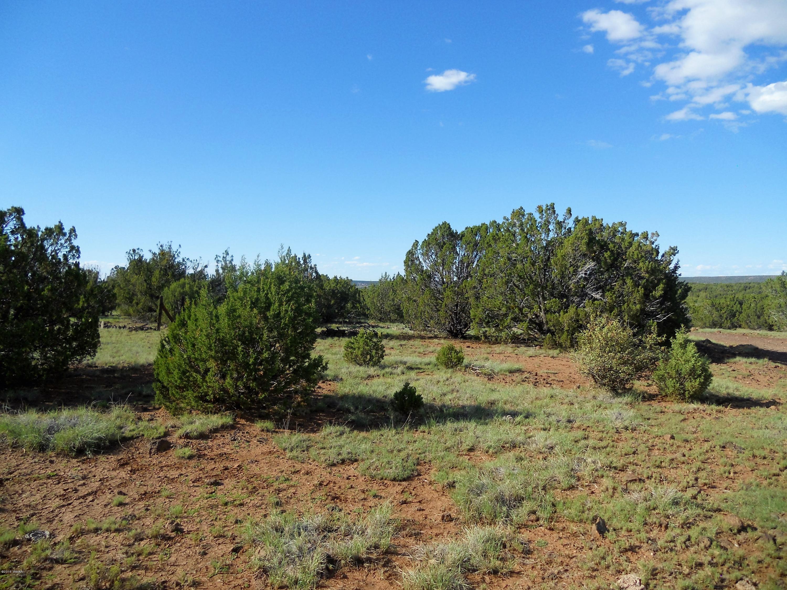 3 T11n R23e: Nw4 Se4 Show Low, AZ 85901 - Photo 1 of 11