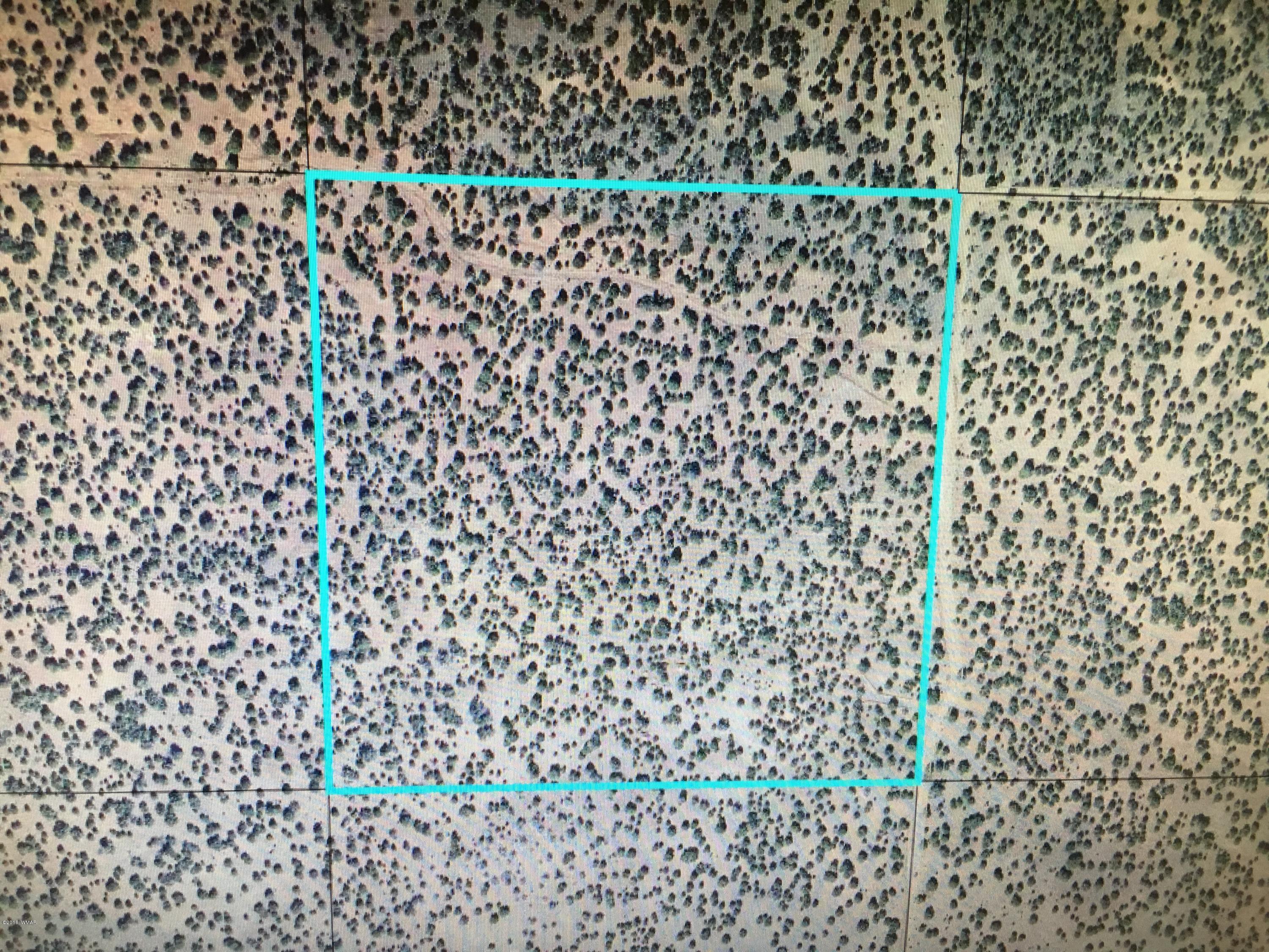 3 T11n R23e: Nw4 Se4 Show Low, AZ 85901 - Photo 11 of 11