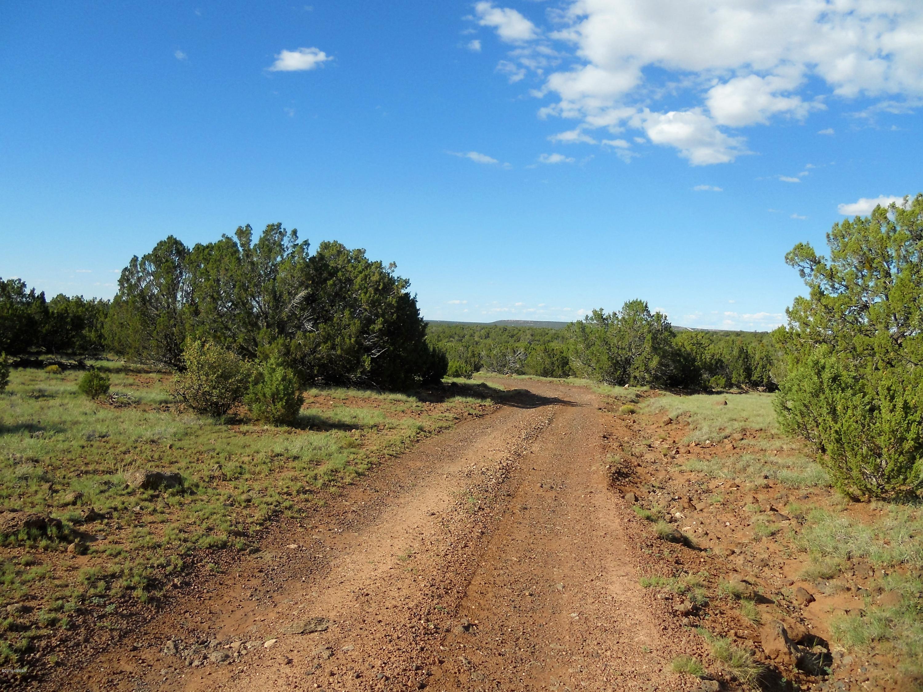 3 T11n R23e: Nw4 Se4 Show Low, AZ 85901 - Photo 2 of 11