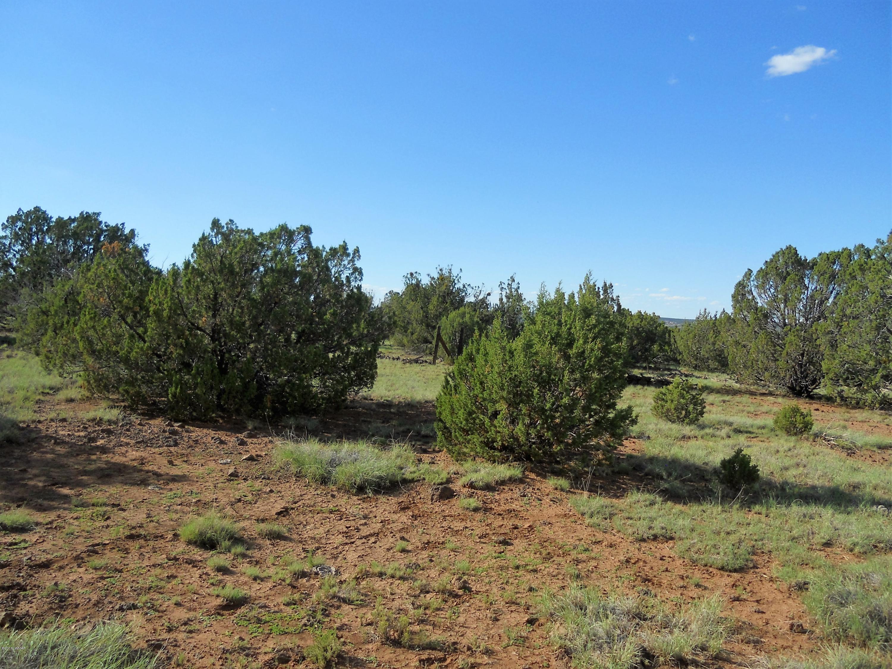 3 T11n R23e: Nw4 Se4 Show Low, AZ 85901 - Photo 3 of 11