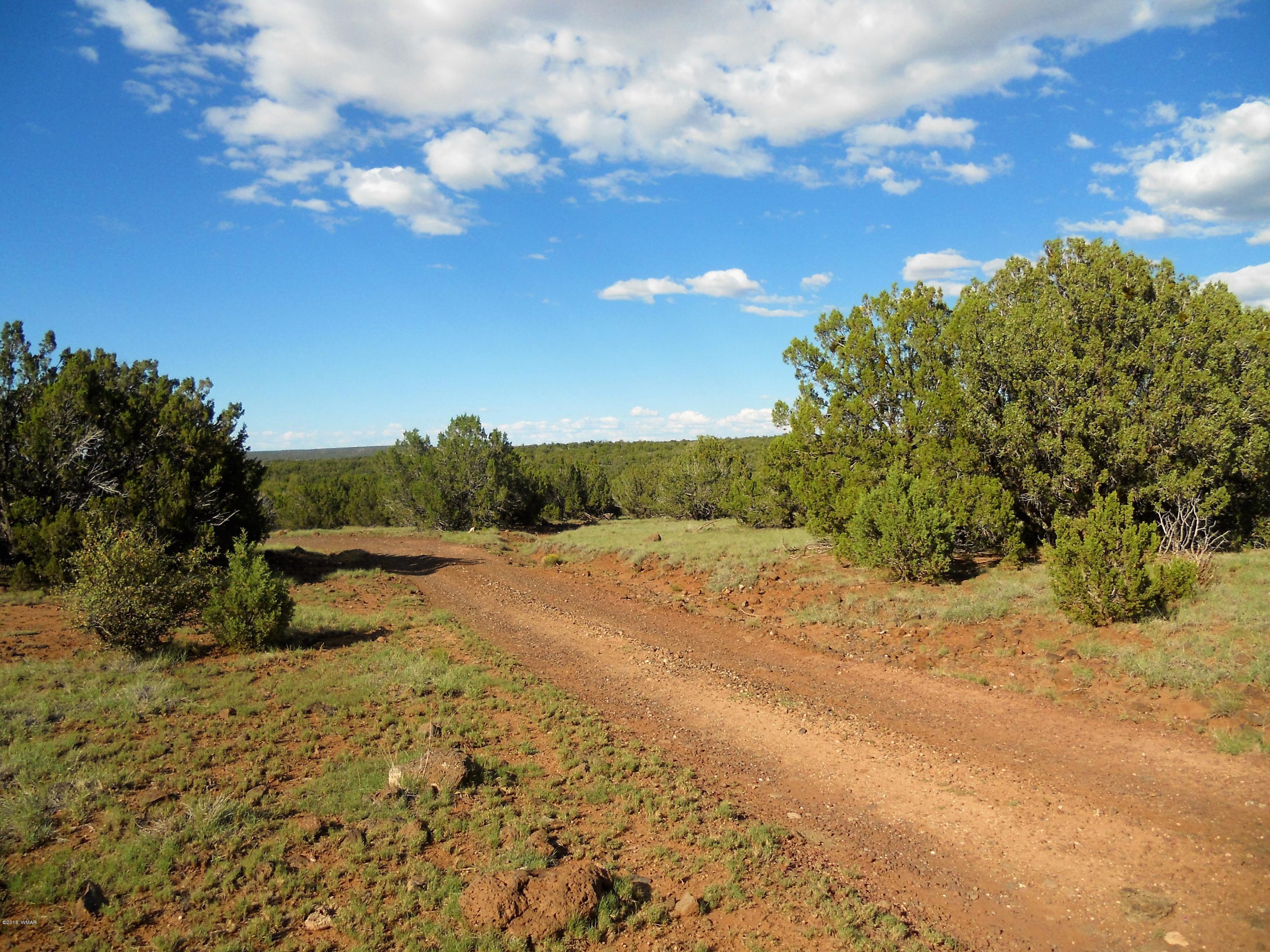 3 T11n R23e: Nw4 Se4 Show Low, AZ 85901 - Photo 4 of 11