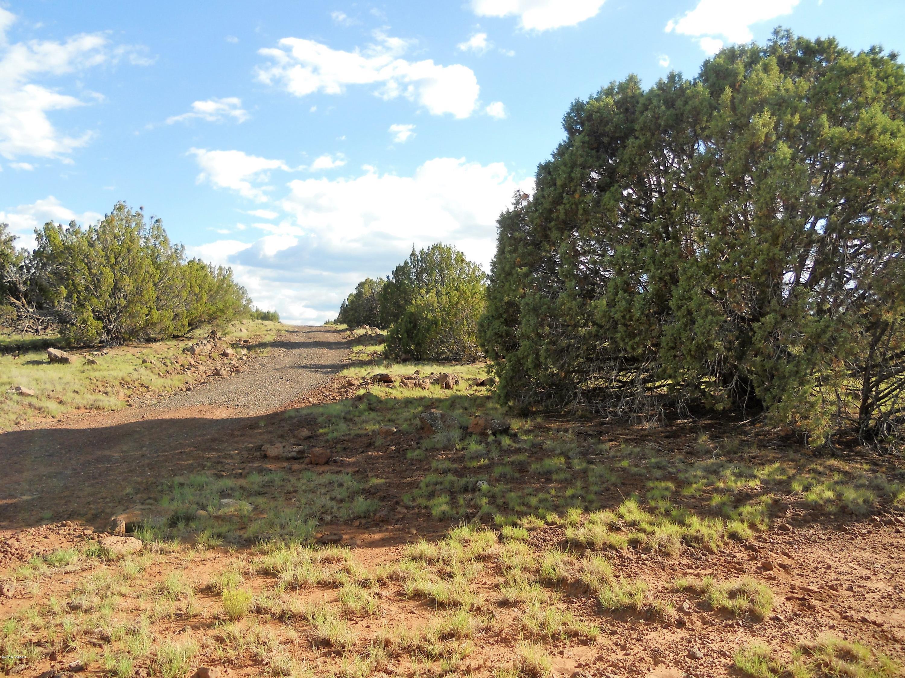 3 T11n R23e: Nw4 Se4 Show Low, AZ 85901 - Photo 5 of 11