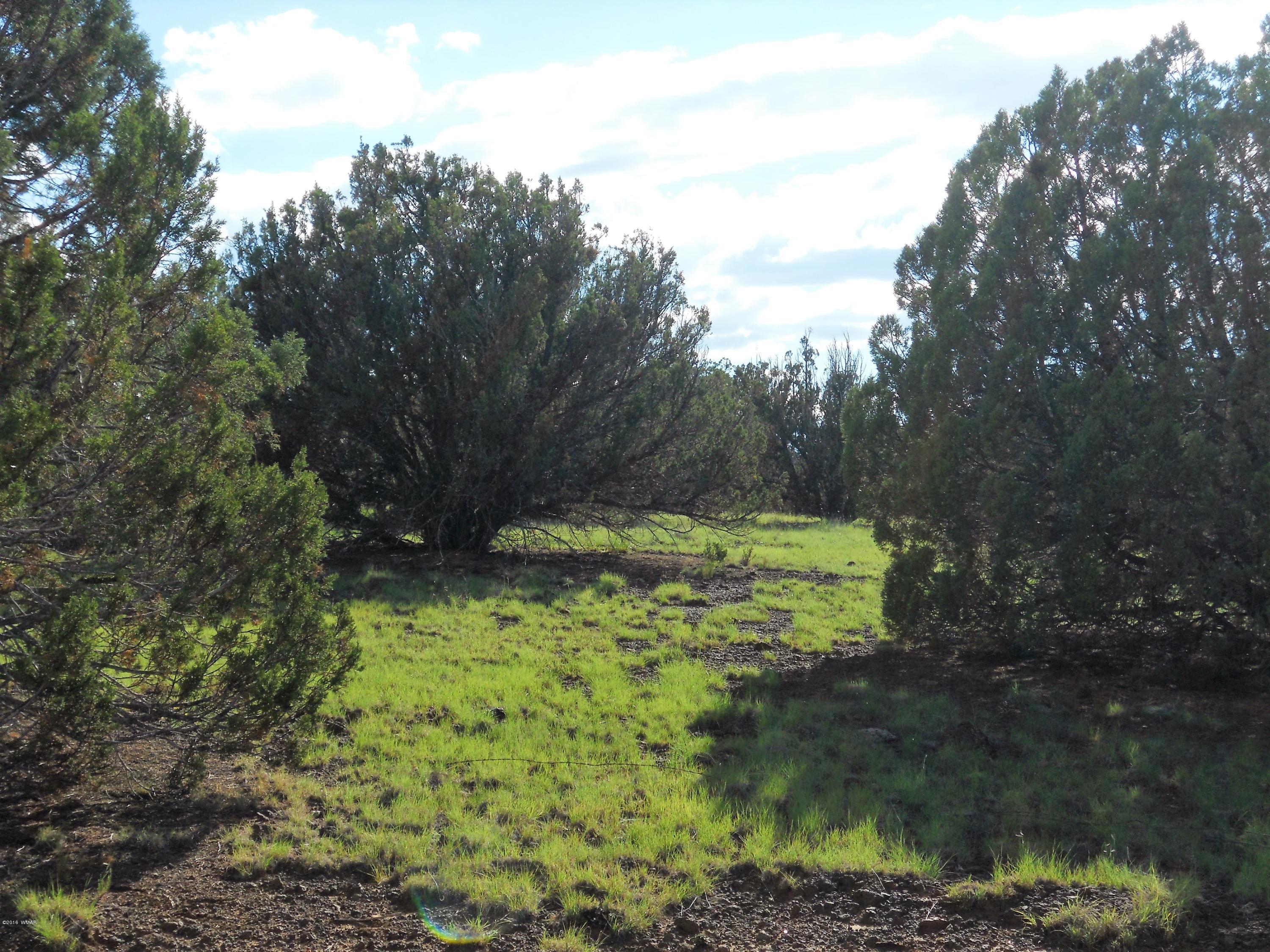 3 T11n R23e: Nw4 Se4 Show Low, AZ 85901 - Photo 6 of 11