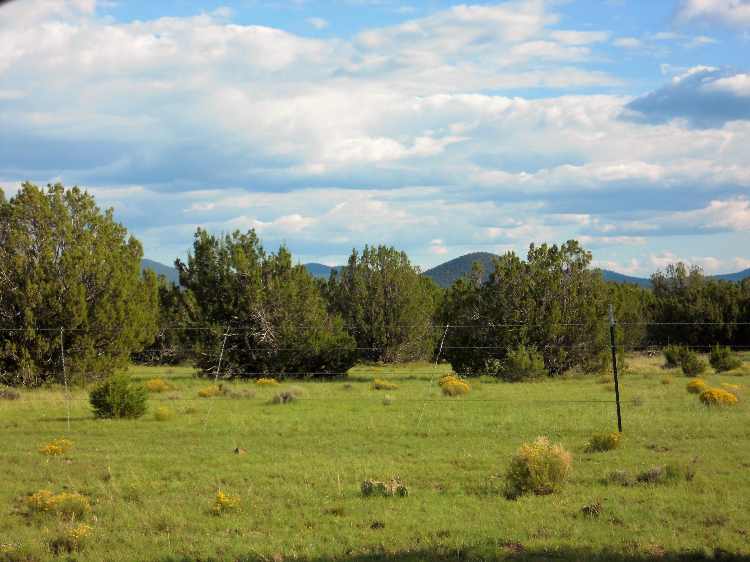 3 T11n R23e: Nw4 Se4 Show Low, AZ 85901 - Photo 7 of 11