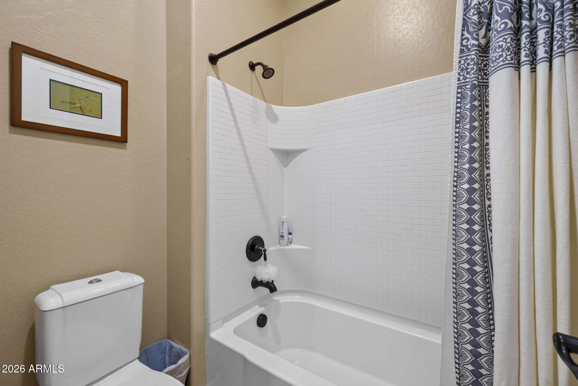 20105 East Quintero Road Queen Creek, AZ 85142 - Photo 27 of 54 34)BATH 3