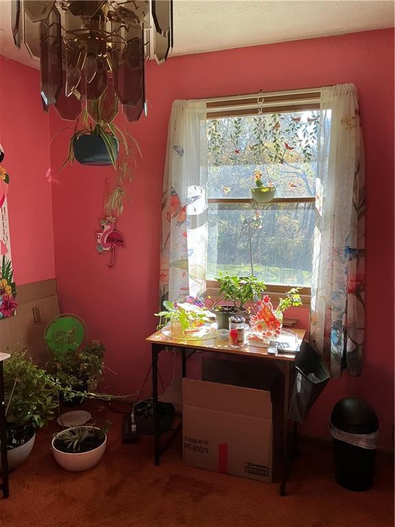 1652 Frew Mill Road New Castle, PA 16101 - Photo 12 of 25 a room with furniture and a potted plant