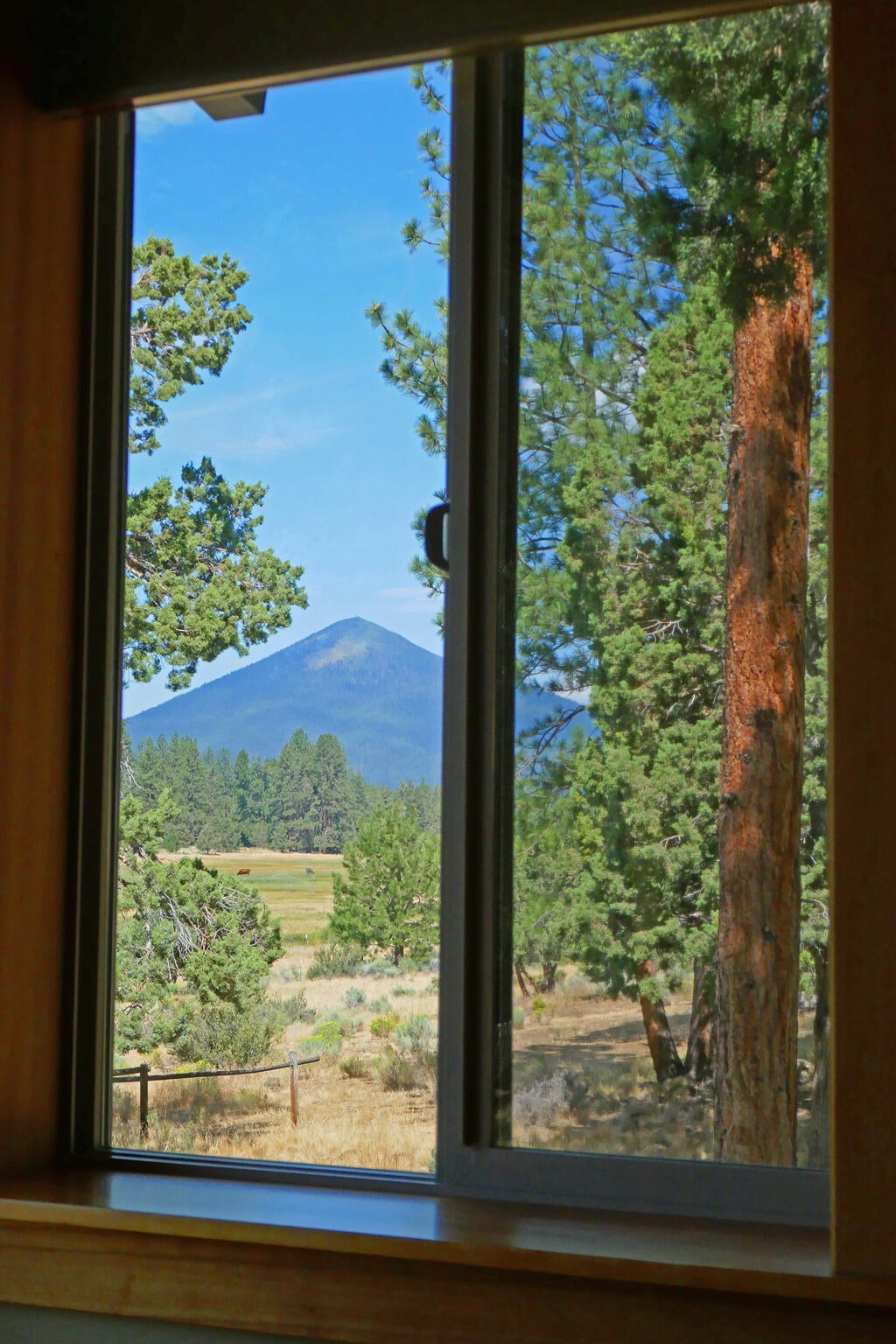 69933 Meadow View Road Sisters, OR 97759 - Photo 19 of 44 Sun Room View