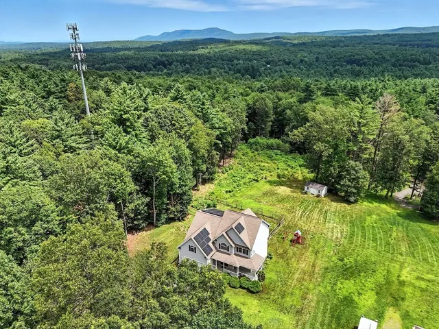 a view of a backyard with plants and large trees