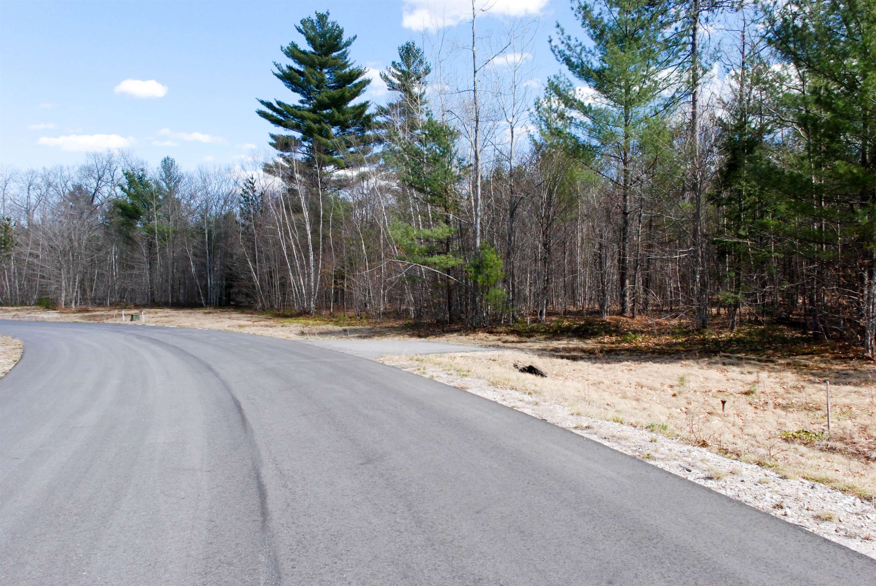 Lot 91 Grandview Road, Unit 91/69 Conway, NH 03818 - Photo 2 of 9