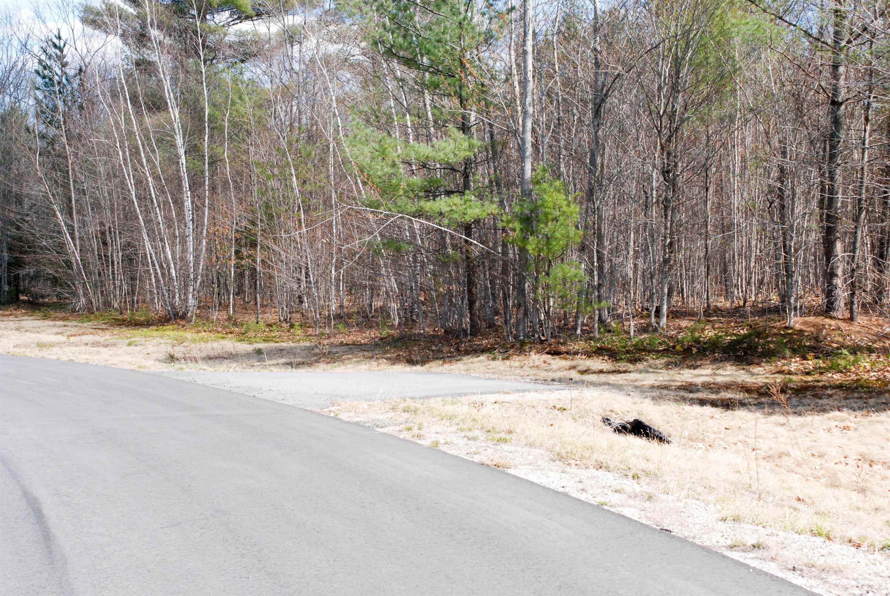 Lot 91 Grandview Road, Unit 91/69 Conway, NH 03818 - Photo 3 of 9