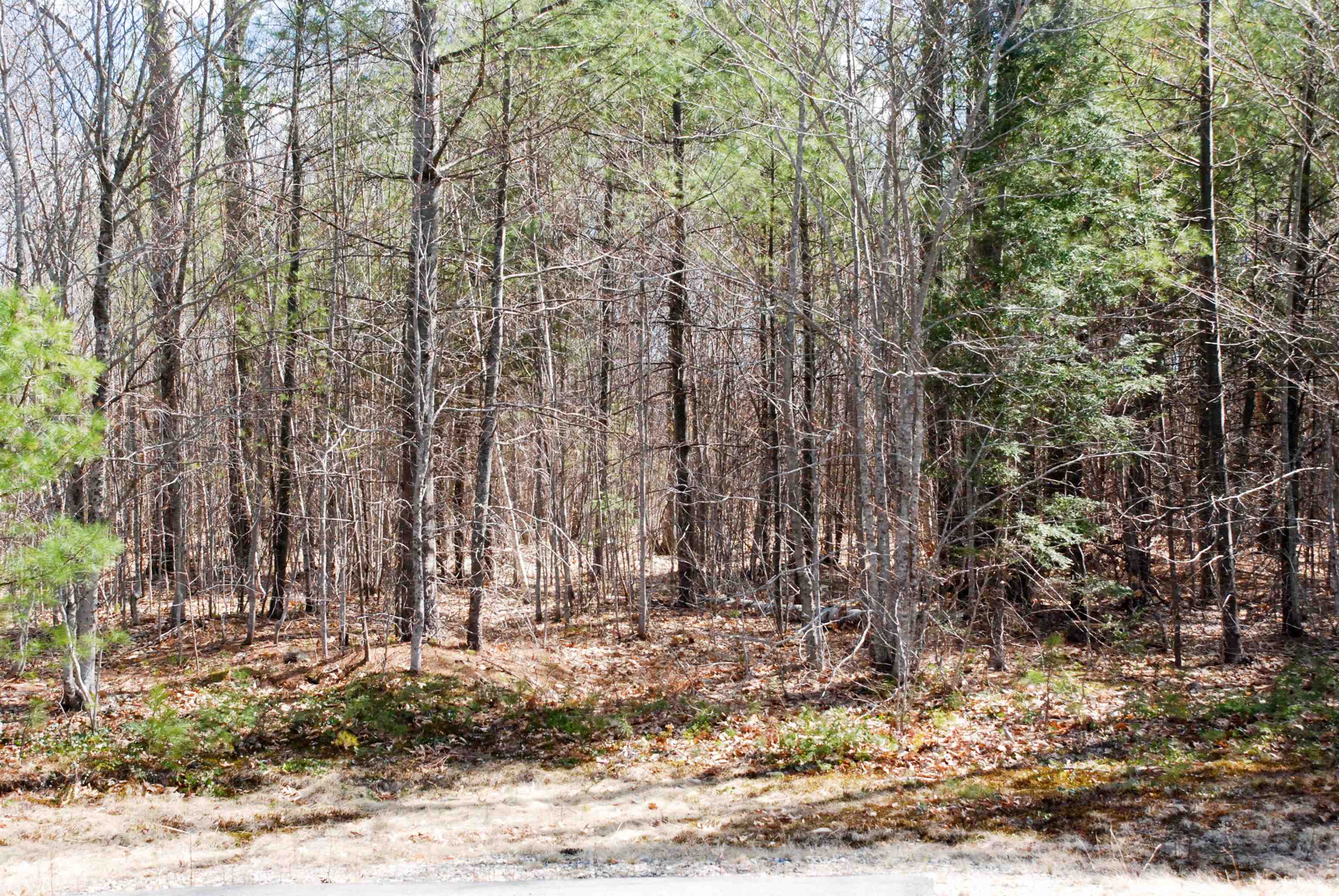 Lot 91 Grandview Road, Unit 91/69 Conway, NH 03818 - Photo 5 of 9