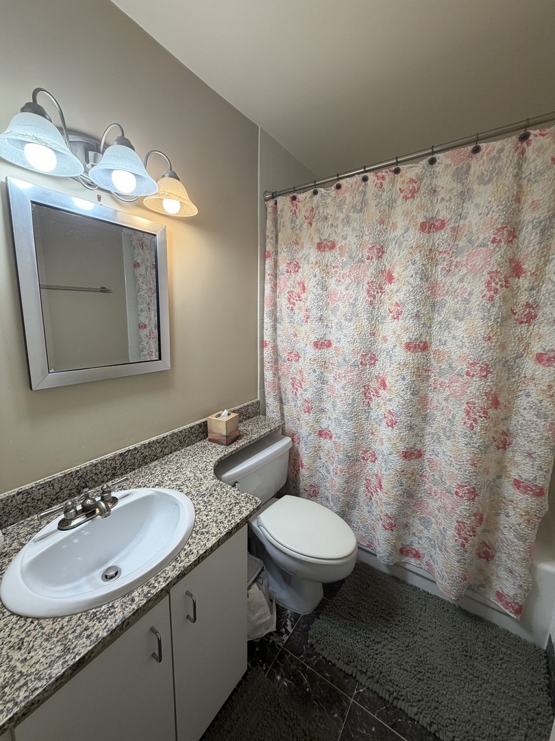 211 East Ohio Street, Unit 2425 Chicago, IL 60611 - Photo 9 of 20